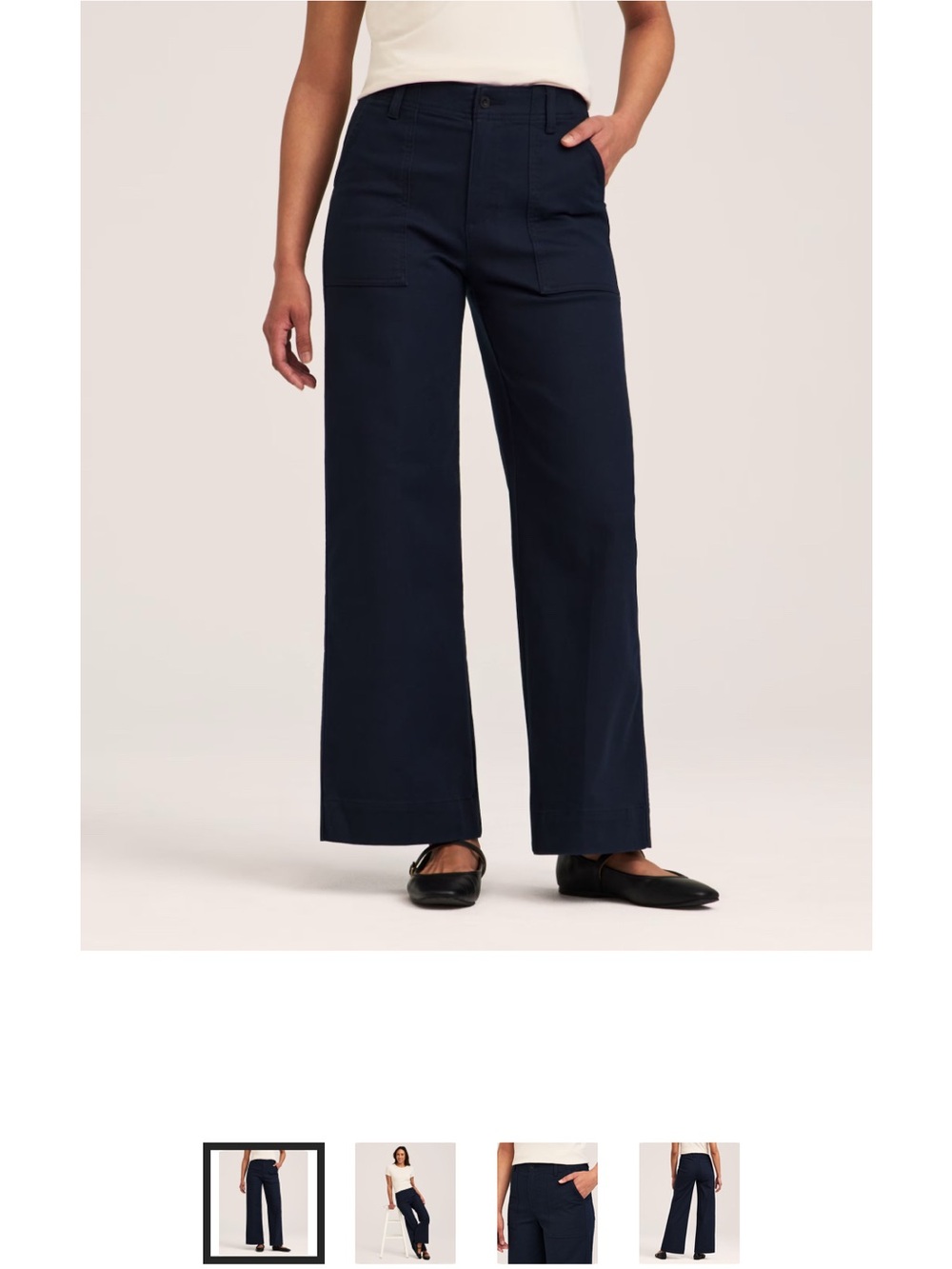 Denver Hayes Stretch Twill Wide Leg Pants BNWT Sz 4